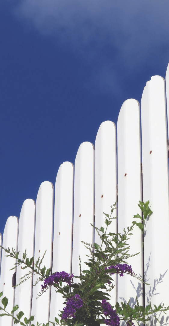 Authentication background